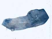 Unterfahrschutz Honda CR-V, III 2006.06 - 2010.06 17668swa0100,17668-swa-0100