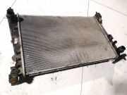 Wasserkühler Fiat Bravo, 2006.11 - 2014 Gebraucht,