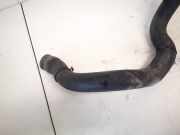 Kühlerschlauch Volkswagen Passat, B6 2005.08 - 2010.11 3c0122101r, BKP