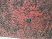 Waschwasserdüse Scheibenreinigung Mazda 626, 1982.11 - 1987.09 Gebraucht,