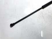 Gasfeder für Motorhaube Citroen C5, I 2001.03 - 2008.02 Gebraucht,