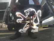 Emblem Peugeot 307, 2005.06 - 2008.06 Gebraucht ,