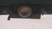 Kennzeichenleuchte Mazda 323F, 1994.07 - 1998.09 Gebraucht,