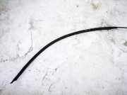 Zierleiste Leiste - Vorne Linke Audi TT, 1998.10 - 2006.06 Gebraucht,