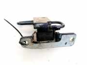 Türscharnier Hinten Volkswagen Phaeton, 2002.04 - 2006 Gebraucht , Ajs