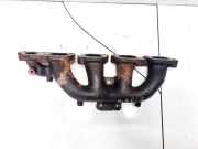 Abgaskrümmer Opel Vivaro A, 2001.08 - 2014.07 8200042882, 8200042882