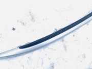 Dachreling Rechts Opel Signum, 2003.05 - 2008.06 Gebraucht,