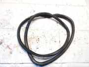 Türdichtung - Hinten Linke Volkswagen ID.4, 2020 --> 11a867913b, EBJA