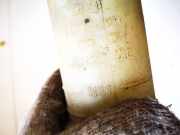 Servolenkung Ölbehälter Volkswagen Passat, B4 1993.07 - 1996.08 357422372, AFT