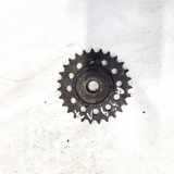 Zahnrad Nockenwelle Audi A4, B6 2000.11 - 2004.11 90528134,90528134