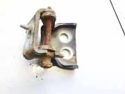 T?rscharnier Vorne Citroen C4, I 2008.06 - 2010.01 facelift Gebraucht,