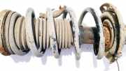 Fahrwerksfeder vorne Opel Zafira, B 2005.07 - 2008.01 Gebraucht,