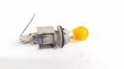 Glühbirnenfassung Blinker Renault Scenic, I 1999.09 - 2003.06 facelift Gebraucht,