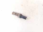 Glühbirnenfassung Blinker Nissan X-Trail, 2001.06 - 2007.06 Gebraucht,