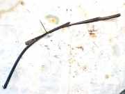 Windschutzscheibe Scheibenwischer Citroen Jumper, II 2006 - 2016.12 250gsx,