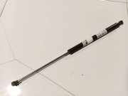 Gasdruckfeder Kofferraum Renault Laguna, II 2001.03 - 2006.05 Gebraucht,