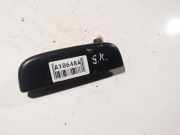 Schutzleiste Tür - Hinten Linke Suzuki Ignis 2000 - 2006 Gebraucht,