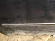 Zierleiste T?r Zier-Schutzleiste - Vorne Linke Fiat Croma 2005 - 2011 Gebraucht,