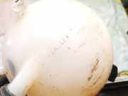 Ausgleichsbeh?lter Volkswagen Golf Plus, 2005.01 - 2008.05 1k0121407a, BLF