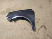 Kotflügel - Vorne Linke Volkswagen Polo, IV 2005.04 - 2009.11 facelift Gebraucht, BME