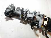 Ansaugkrümmer Nissan X-Trail, 2001.06 - 2007.06 nl0789,