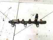 Kraftstoffverteiler Kia Carnival, 1998.08 - 2005.09 315004x500,