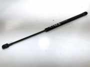 Gasdruckfeder Kofferraum Fiat Punto, 1999.09 - 2005.10 46744596,