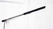 Gasdruckfeder Kofferraum Toyota Yaris, I (XP10) 1999.04 - 2003.03 689500D010,