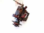 Kraftstoffpumpe Rover 75, 1999.02 - 2005.05 0445010011,2247801 00031