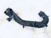 Intercooler Schlauch Alfa-Romeo 166 1998.09 - 2003.10 1J0129654Q,PX0446015