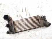 Ladeluftkühler Citroen C5, I 2001.03 - 2008.02 9636195580,