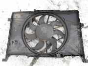 Kühlerlüfter Lüftermotor Mercedes-Benz A-CLASS, W169, 2008.09 - 2012.06 facelift a1698203642,0130307008