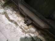 Heckklappe Heckklappenschloss Kofferraumschloss Citroen C4 Grand Picasso, I 2006.01 - 2013.06 Gebraucht,