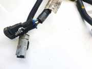 Kabelbaum Citroen C5, II 2008.02 - 2011.01 9687386880,9687386880