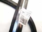 Zierleiste Leiste - Hinten Rechts Mercedes-Benz C219, I 2004.10 - 2011.01 Gebraucht,