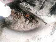 Ansaugkr?mmer Volkswagen Touran, 2003.01 - 2006.10 03G129713, bkc