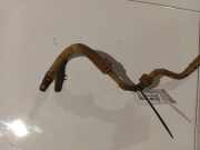 Servoleitung Leitung Servo Servoschlauch Schlauch Mazda 6, 2002.06 - 2007.08 Gebraucht ,