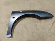 Kotflügel - Vorne Rechts Peugeot 407, 2004.05 - 2010.12 Gebraucht,