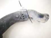 Schlauch für Luftversorgung Peugeot 406, 1999.03 - 2004.05 facelift 9618364380,