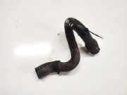 Kühlerschlauch Mercedes-Benz A-CLASS, W169, 2004.09 - 2008.09 1698301596,