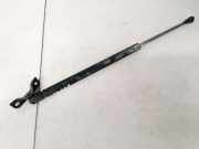 Gasdruckfeder Kofferraum Toyota Corolla, 2001.11 - 2004.02 6896002030,68960-02030