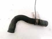 Kühlerschlauch Citroen Berlingo, II 2008.04 - 2018 Gebraucht ,