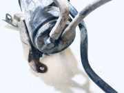 Kraftstofffilter Mitsubishi Colt, 2003.09 - 2008.09 mr993303, a45447000