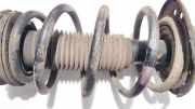 Fahrwerksfeder vorne Nissan Qashqai, I 2006.01 - 2010.06 Gebraucht,