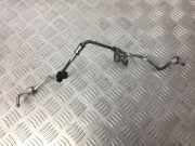Einspritzleitung Nissan Qashqai, I 2006.01 - 2010.06 Gebraucht,