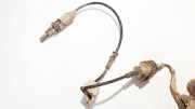 Kabelbaum Opel Vectra, C 2002.04 - 2005.10 13128268,