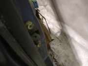 Türfangband Türbremse Türstopper - Vorne Rechts Mitsubishi Pajero Sport, I K90 1996.01 - 2000.06 Gebraucht,