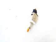 Bremslichtschalter Schalter Renault Scenic, III 2009.02 - 2013.06 253200005ra,