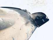 Radhausschale - Hinten Rechts Honda Jazz, 2001.12 - 2005.04 Gebraucht,