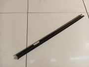 Zierleiste Leiste - Hinten Linke Renault Scenic, III 2009.02 - 2013.06 Gebraucht,